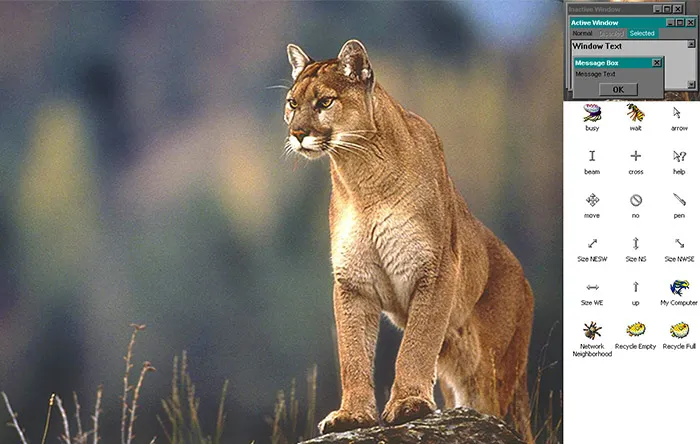 ویندوز ۹۸ تمها و تصاویر پسزمینهی متنوعی داشت