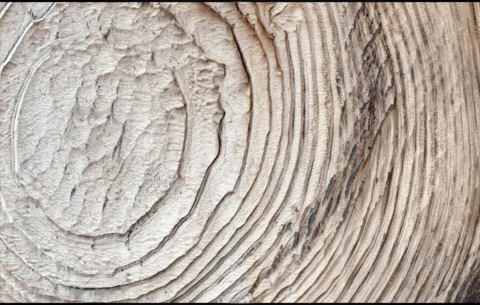 دهانه Schiaparelli از ترکیب چند دهانه کوچکتر به وجود آمده است. چگونگی شکل گرفتن این دهانه هنوز مشخص نیست.