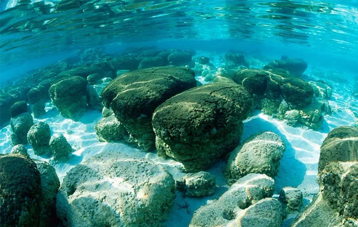 استروماتولیت‌های این‌چنینی، در جوانی‌های زمین زیاد بودند