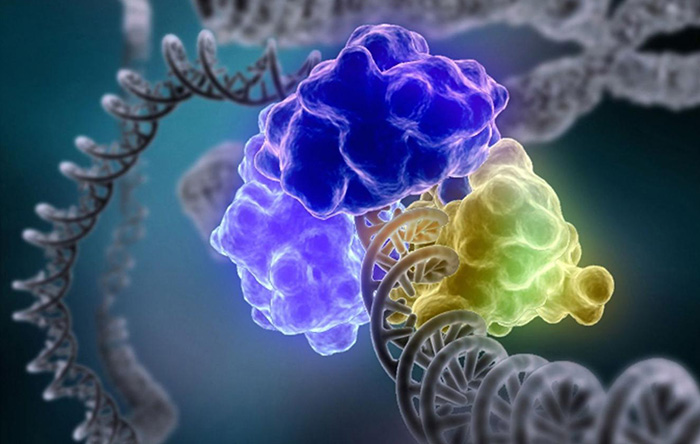 مولکول DNA به صورت ذاتی آسیب‌پذیر است. ولی درون سلول‌ها، فرایندهایی طبیعی برای نظارت و تعمیرشان وجود دارد