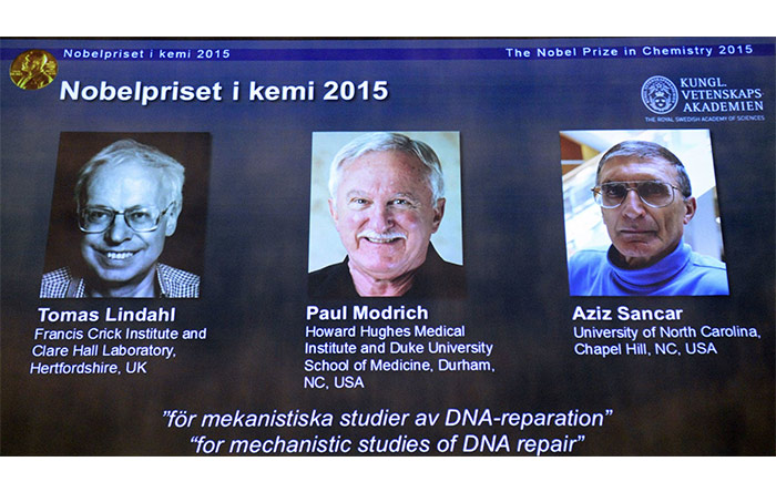 برندگان نوبل امسال،‌چگونگی فرایند خود ترمیمی DNA را کشف کردند