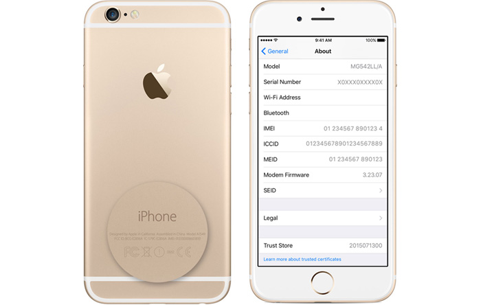 iPhone 6 Gold - ICCID