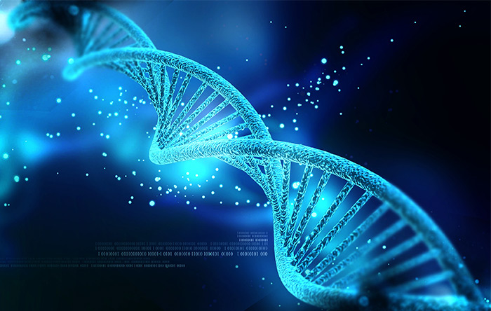 به تغییرات اتفاقی در DNA موجودات زنده، چهش ژنتیکی می‌گویند