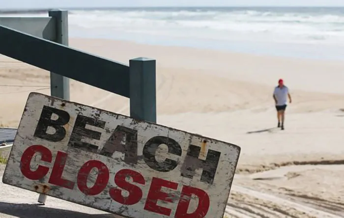 shark attack australia