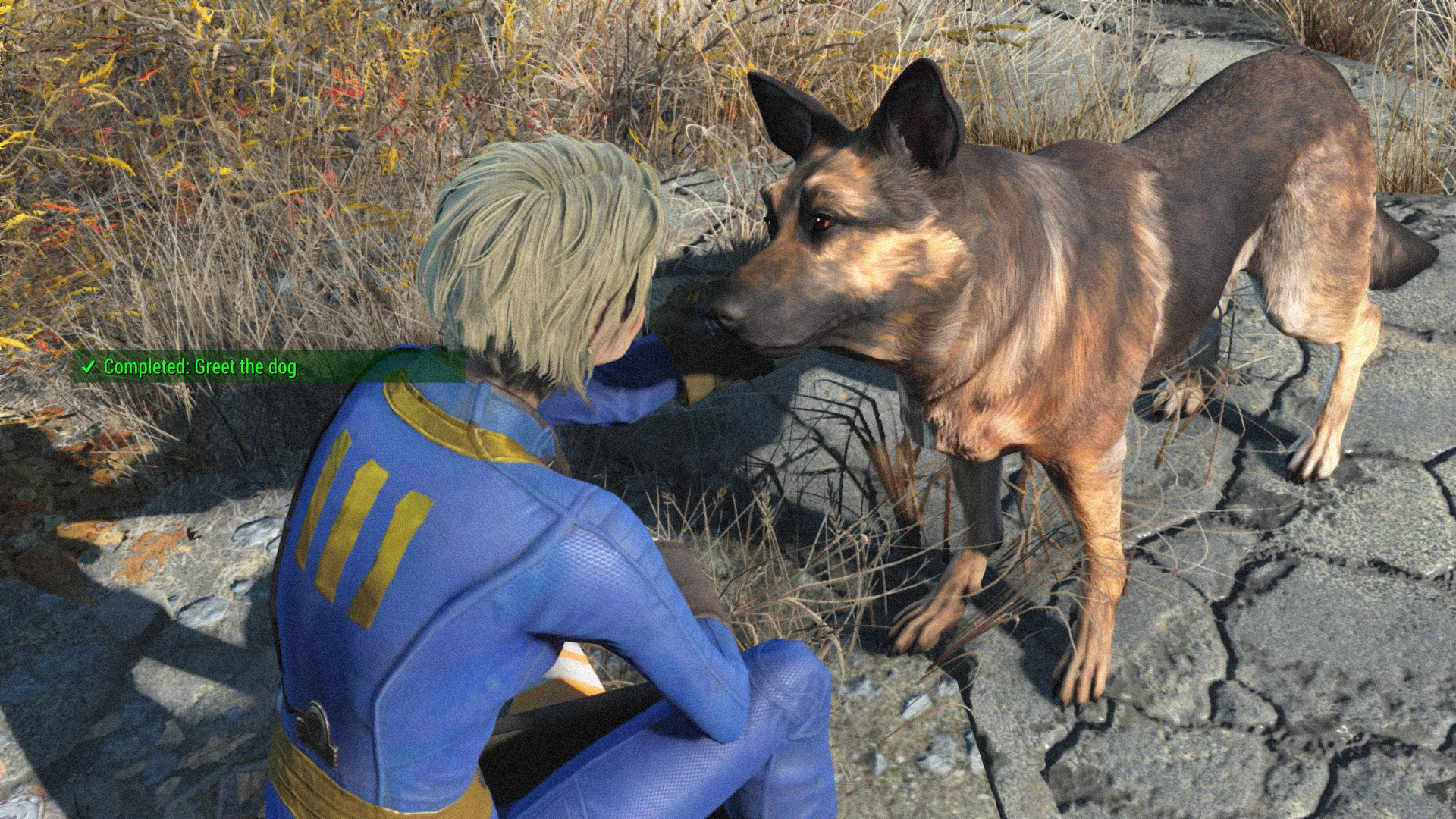1-Fallout-4_20151113131832