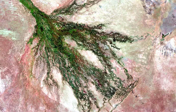 دلتای «اوکاوانگو»-Okavango- در شهر بوتسوانا -Botswana