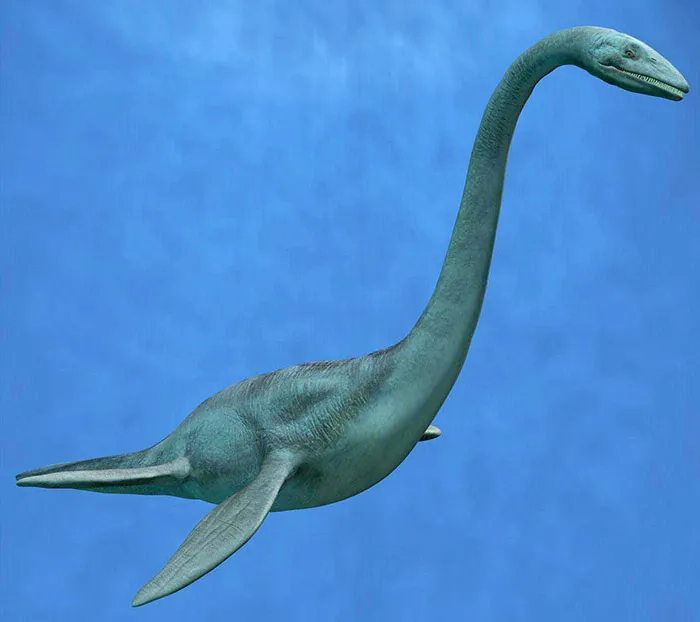 Plesiosaur