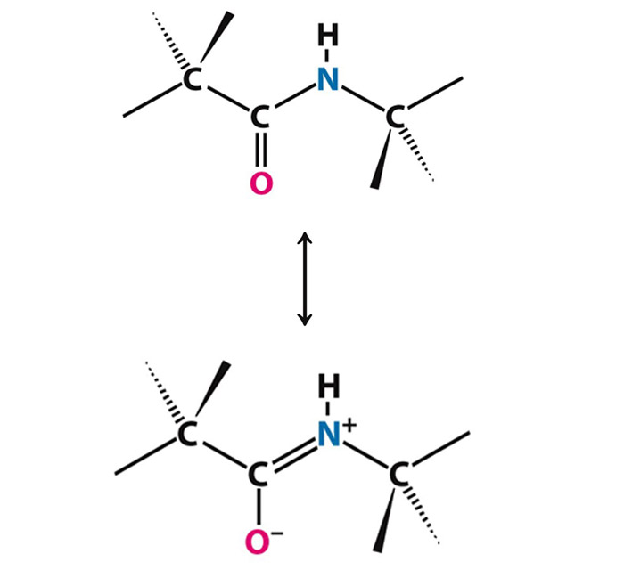 ساختار رزونانس پیوند پپتید