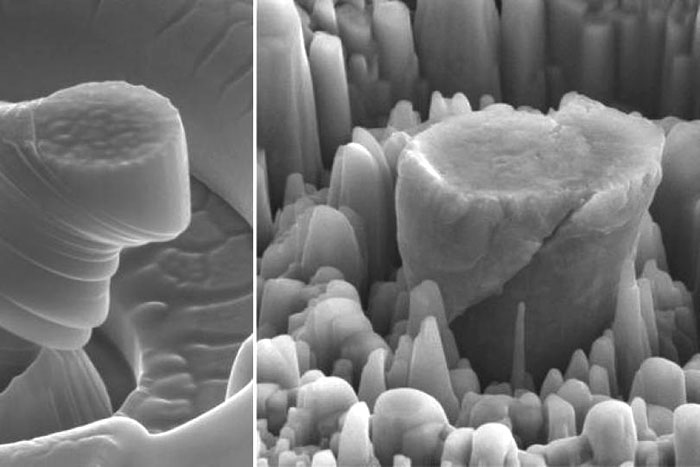 سمت چپ: ذرات فلز خالص. سمت راست: ذرات فلز جدید. هر میکروپیلار حدودا 4 میکرومتر طول دارد.