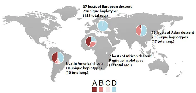 مطالعات نشان می‌دهد که افراد با تبارهای مختلف، میزان متفاوتی از گروه‌های کرم‌های صورت را میزبانی می‌کنند. عمده‌ی افراد با تبار اروپایی، فقط یک گروه کرم صورت دارند.
