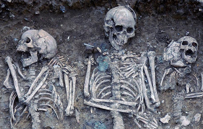 Anglo-Saxon-Skulls