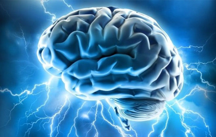 Brain Memory Capacity