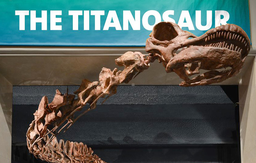 Titanosaur_CVR