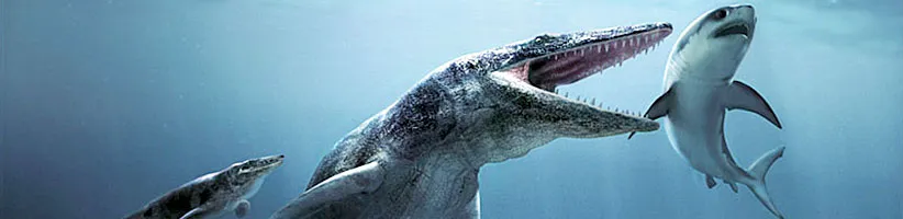 Mosasaur_03