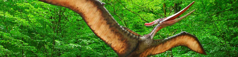 Pteranodon_02
