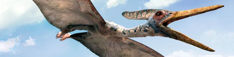 Pteranodon_03