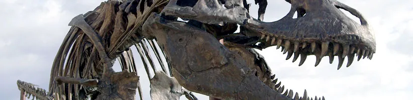 Tyrannosaurus_Rex_04