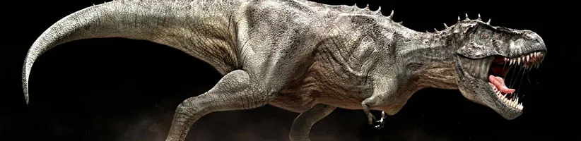 Tyrannosaurus_Rex_08