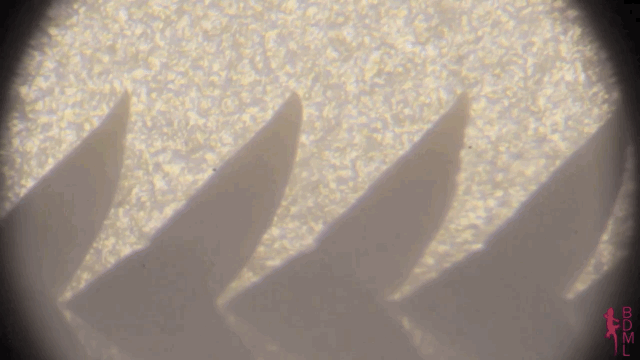 utug adhesive legs_ robots towing a car