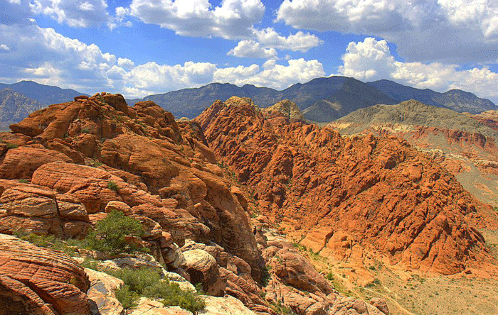 Mojave-desert-