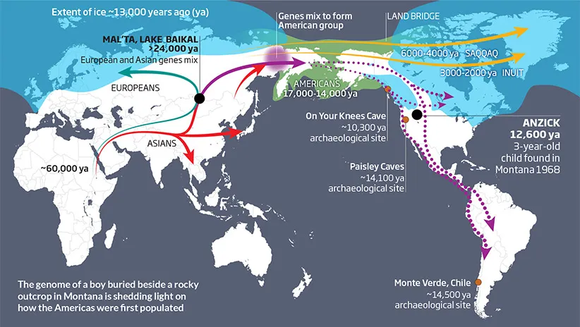انسان خردمند از آفریقا وارد آسیا، سیبری و سپس از طریق تنگهی برینگ وارد آمریکا شد.