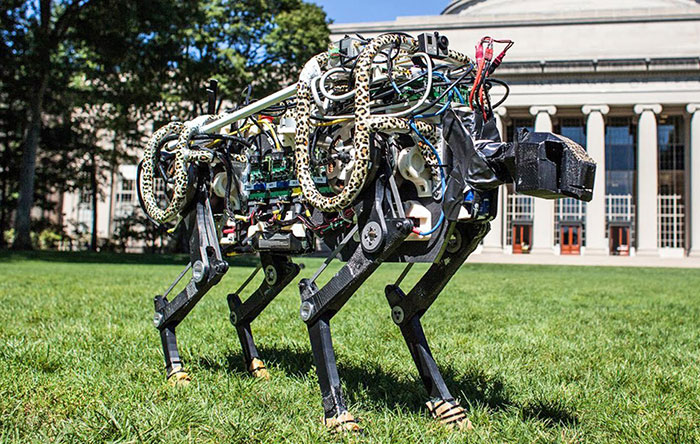 ربات چیتا دانشمندان دانشگاه MIT معمولا دست به تحقیقات عجیب وغریبی می‌زنند. این ربات چیتا هم یکی از نمونه‌های این‌جور تحقیقات است که هدف از ساخت آن تولید رباتی با سرعت و قدرت پرش یک چیتا بوده. این اختراع به‌نوبه‌ی خود دستاورد بزرگی در علم مهندسی مکانیک است. البته باید گفت ربات چیتا تنها می‌تواند حدود پانزده دقیقه بدود در حالی‌که چیتای واقعی به‌نوعی قهرمان دوی استقامت هم هست!
