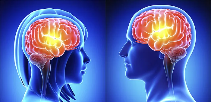 بعضی از بخشهایی که در فرایند عاشقشدن درگیرند، کاملا باستانی هستند.