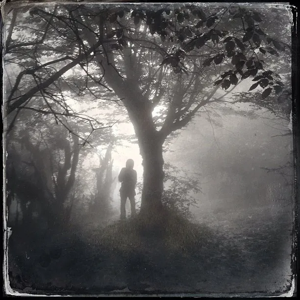 عکاسی موبایل شاعرانه - محسن چینه کش