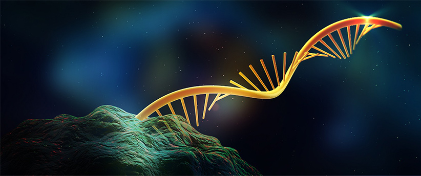 به نظر می‌رسد پیش از DNA، موجودات زنده فقط دارای RNA بودند. با این حال دقیقا مشخص نیست خود RNA چگونه بوجود آمد.