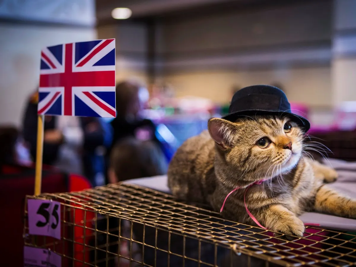 10 – انگلستان: کشور انگلیس برای تجارت کردن مناسب است و از این نظر به عنوان پنجمین کشور دنیا در قسمت  محیط اقتصادی قرار می‌گیرد. 