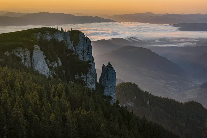 قوانین عکاسی موبایل