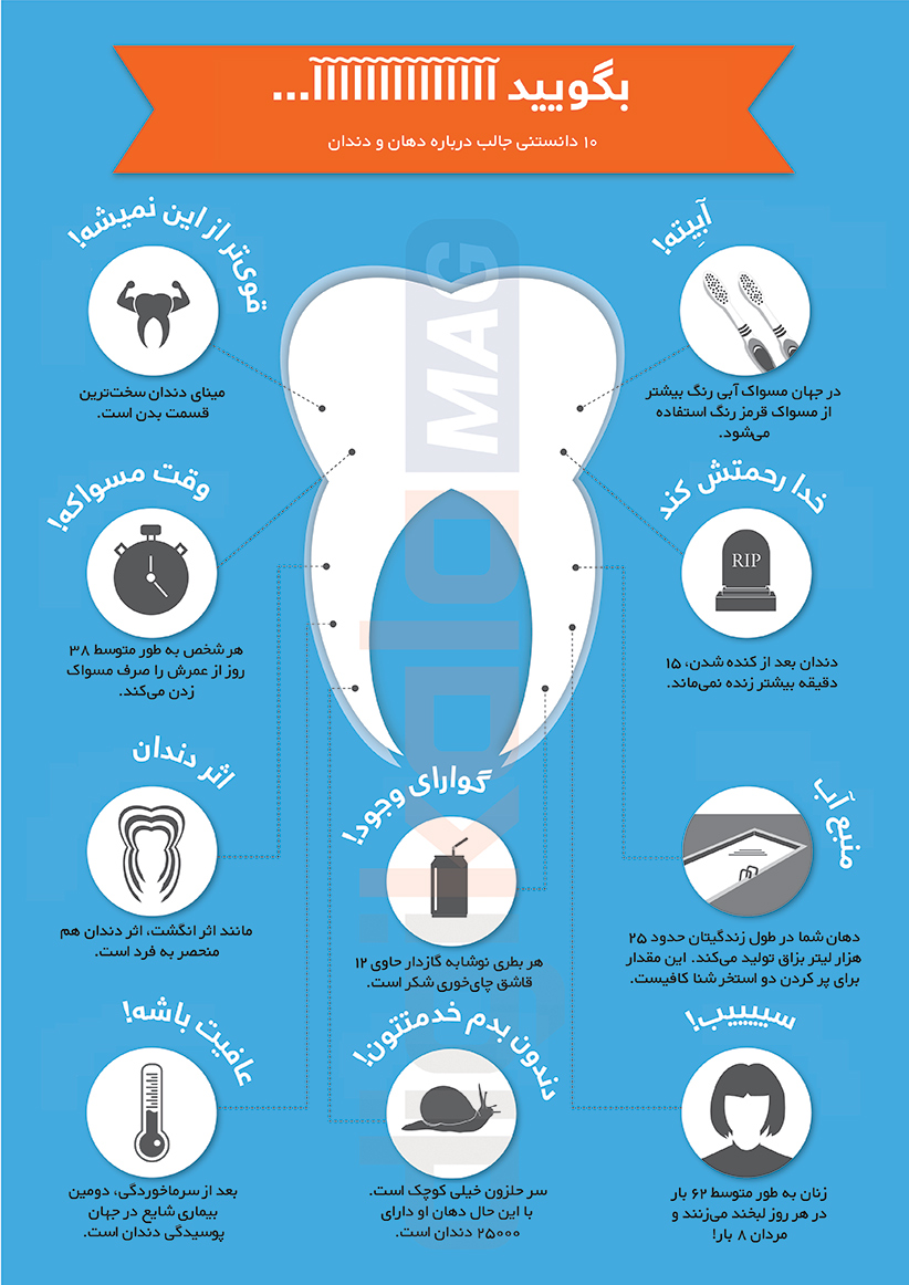اینفوگرافیک ۱۰ دانستنی جالب درباره دندان که احتمالا از آن‌ها خبر نداشتید