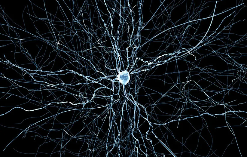 شبیه‌سازی مغز موش