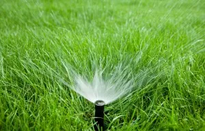 سیستم هوشمند برای آبیاری گیاهان رونمایی شد