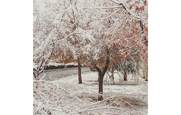 عکس از امیر پروا