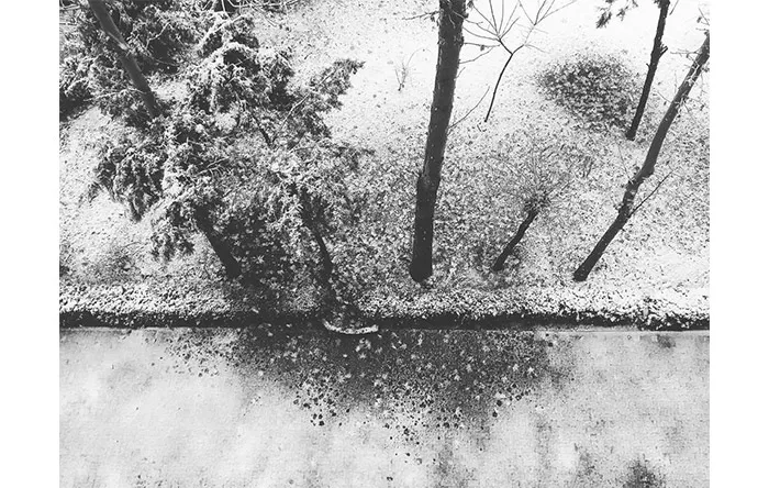 عکس از آرمان خاشعی