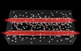 رگ‌های خونی