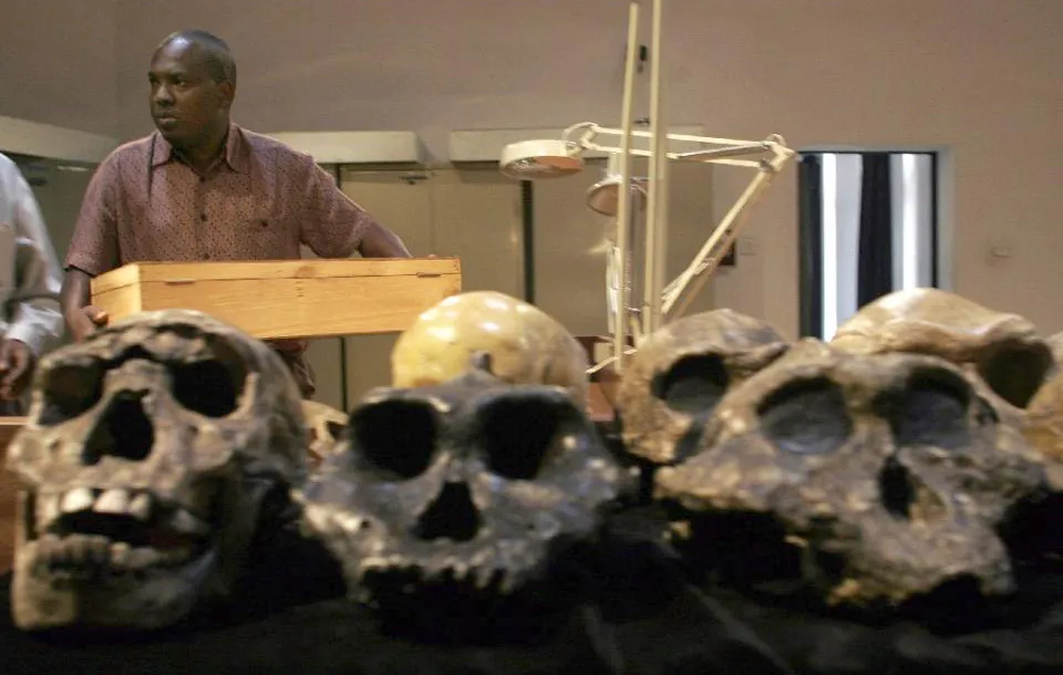 human-bone-china-thigh-femur