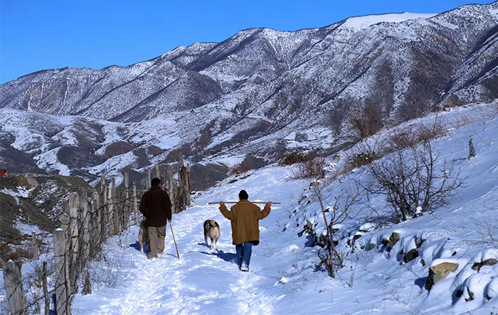 عکس از سعید قاسمی