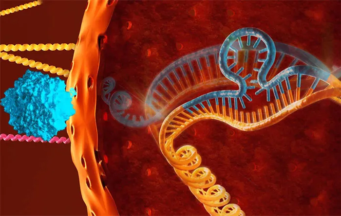 درمان بیماری