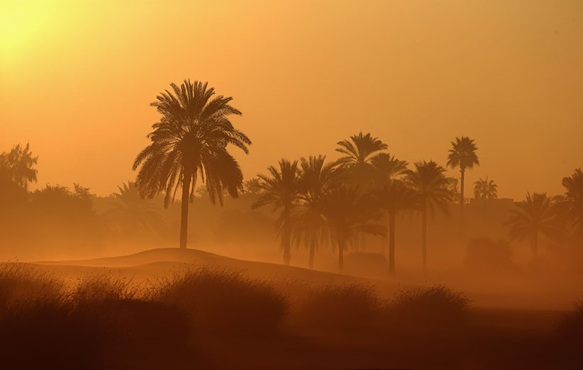 گرمترین سال 2015