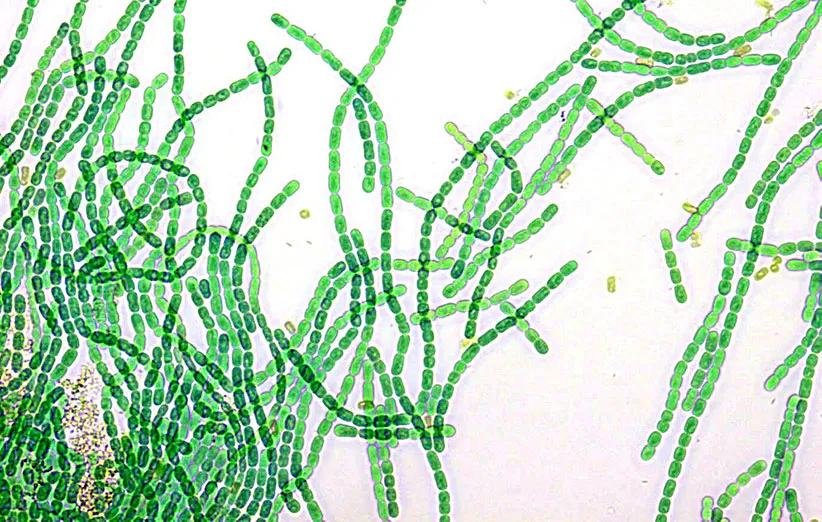 2400678057_af3b27ccd1_b