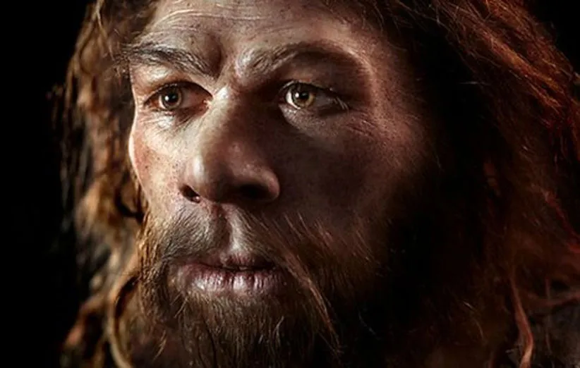 77067514_c0208153-neanderthal_model-spl
