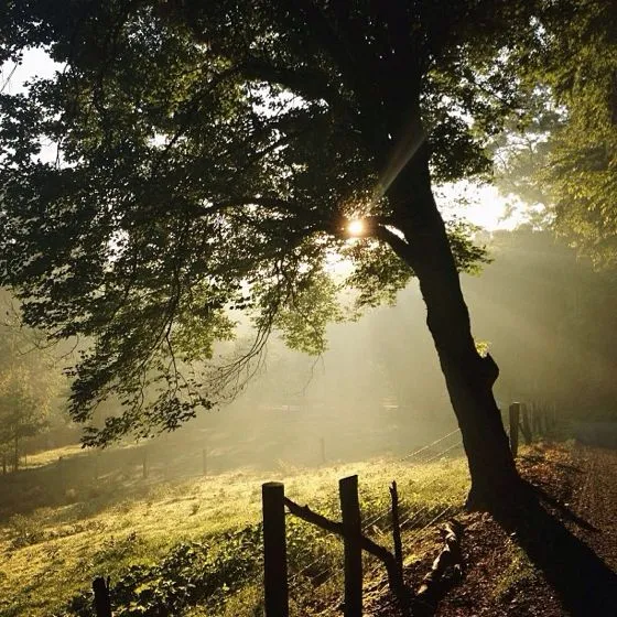 ژانرهای عکاسی موبایل - عکاسی منظره