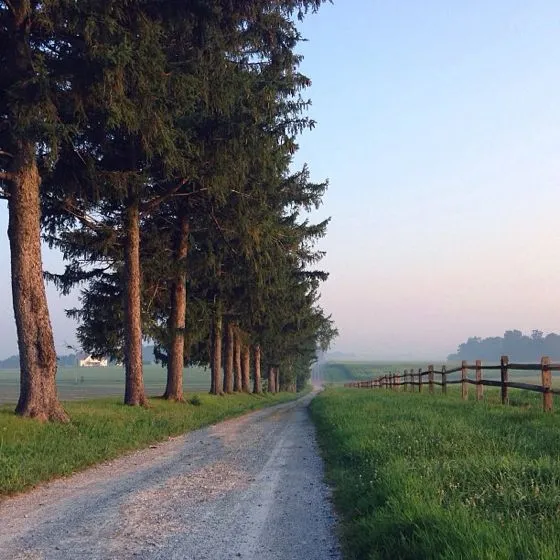 ژانرهای عکاسی موبایل - عکاسی منظره