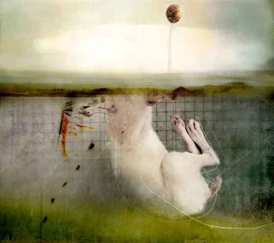 ژانرهای عکاسی موبایل - لایه‌بندی