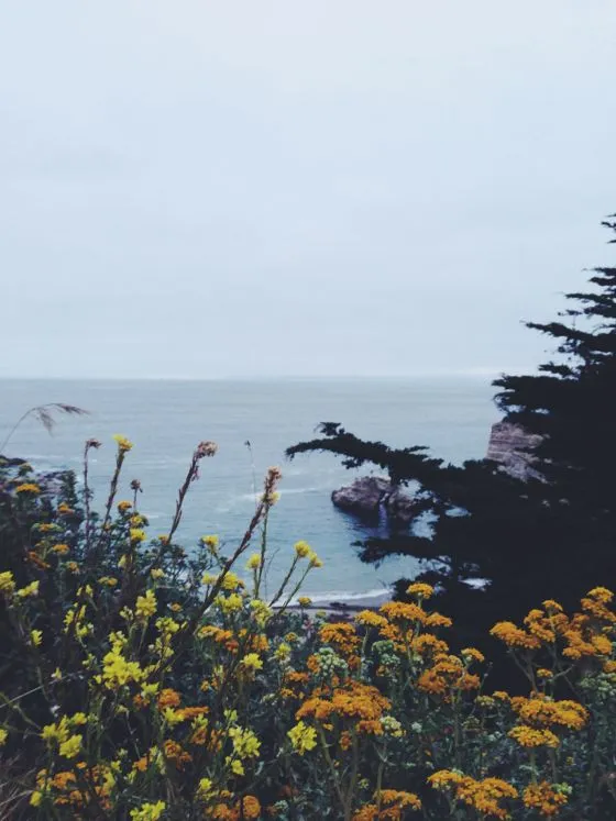 ژانرهای عکاسی موبایل - عکاسی طبیعت