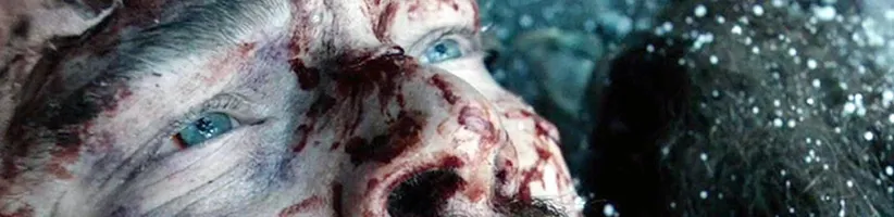 the-revenant-vfx-0020-1200x800-c