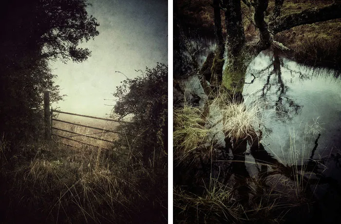 عکاسی موبایل - عکاسی حرفه‌ای جولیان کالورلی ۰۳