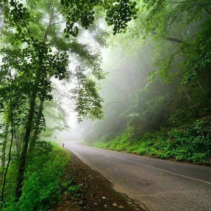 مدرسه عکاسی موبایل دیجیکالا مگ - بهمن بهروز